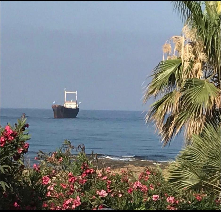 34 Beach Villa Paphos Bagian luar foto